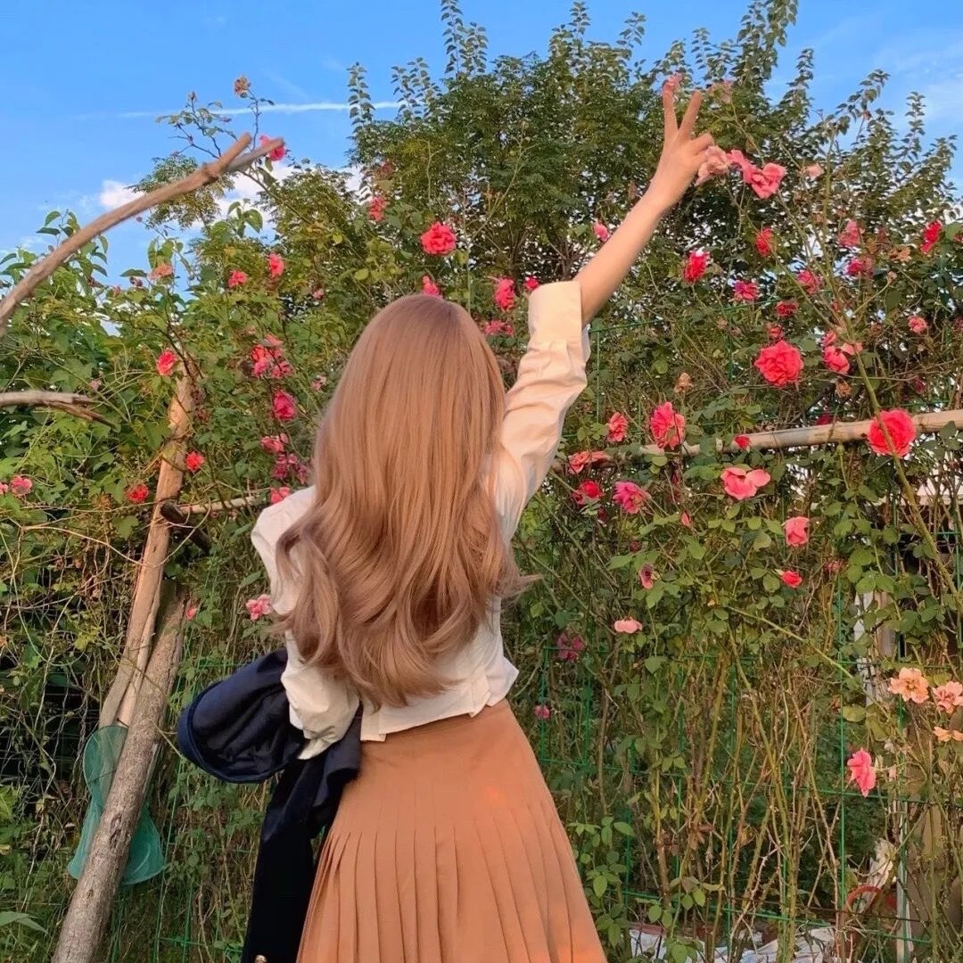 孙神探与黑寡妇的诅咒